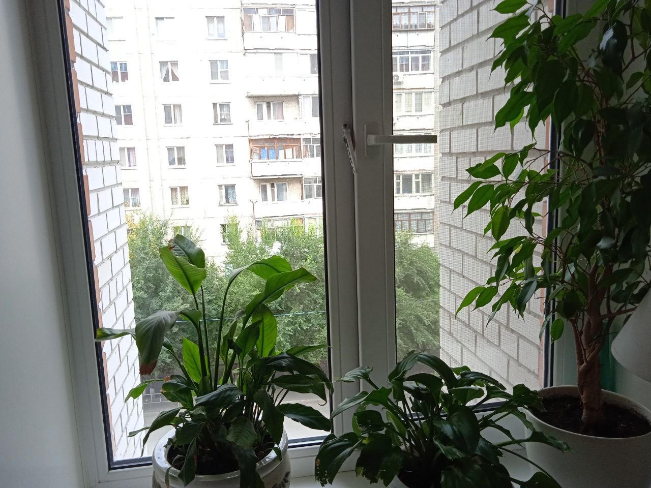 https://astrahan.delaem-okna.ru/storage/app/uploads/public/63f/332/8c0/63f3328c0d6f7867060515.jpg